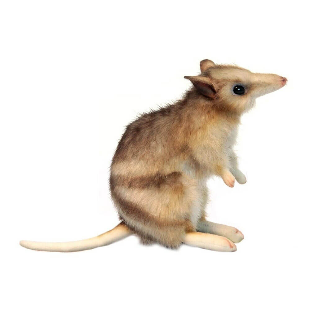 Ганза Восточно-полосатый бандикут (16см В)